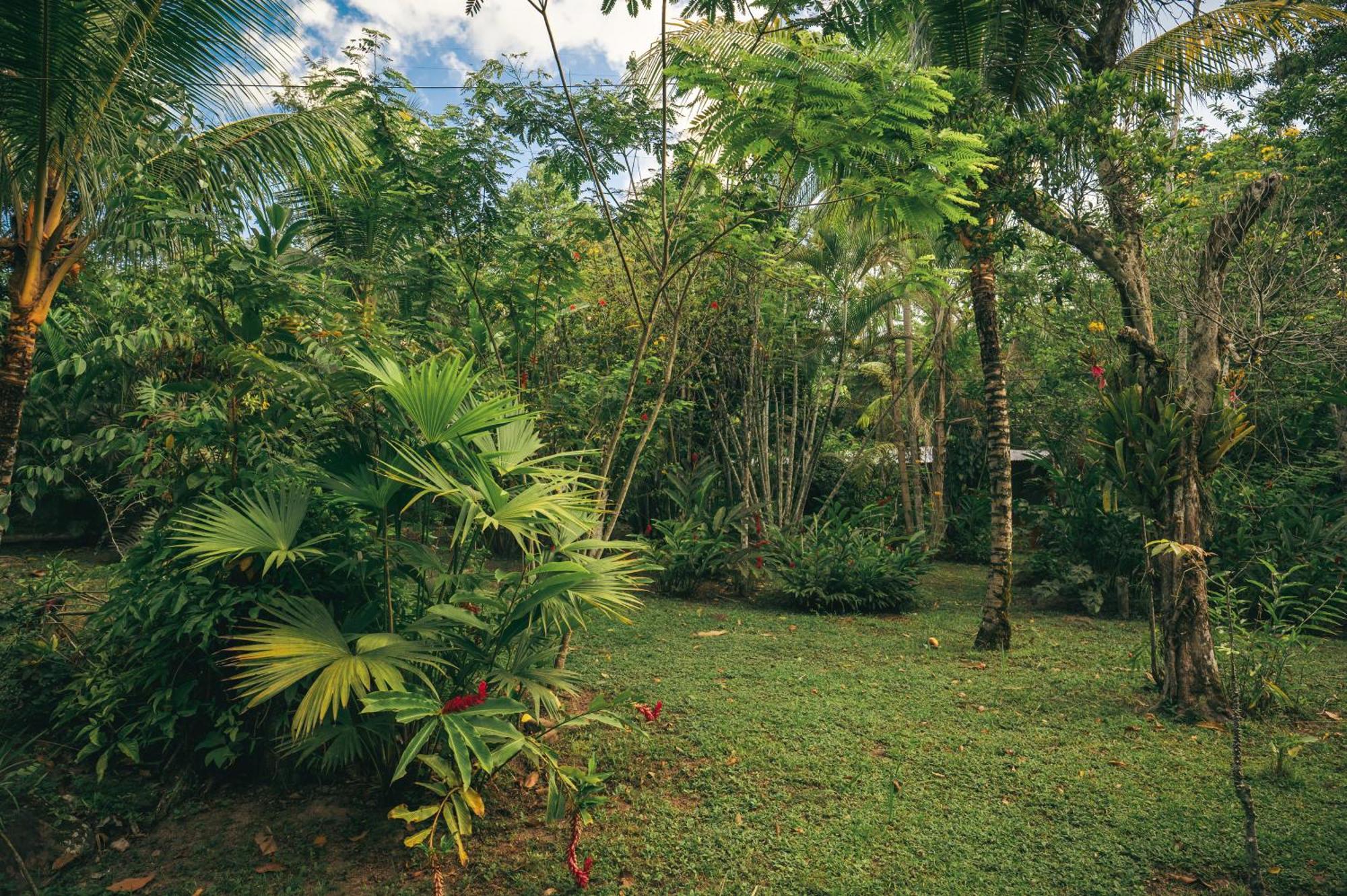 Huingos Eco Lodge Tarapoto Exterior photo